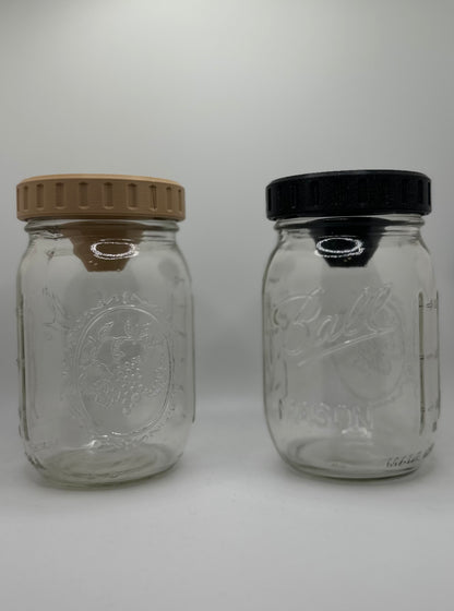 Mason Jar Fly Trap Lid (2 Pack)