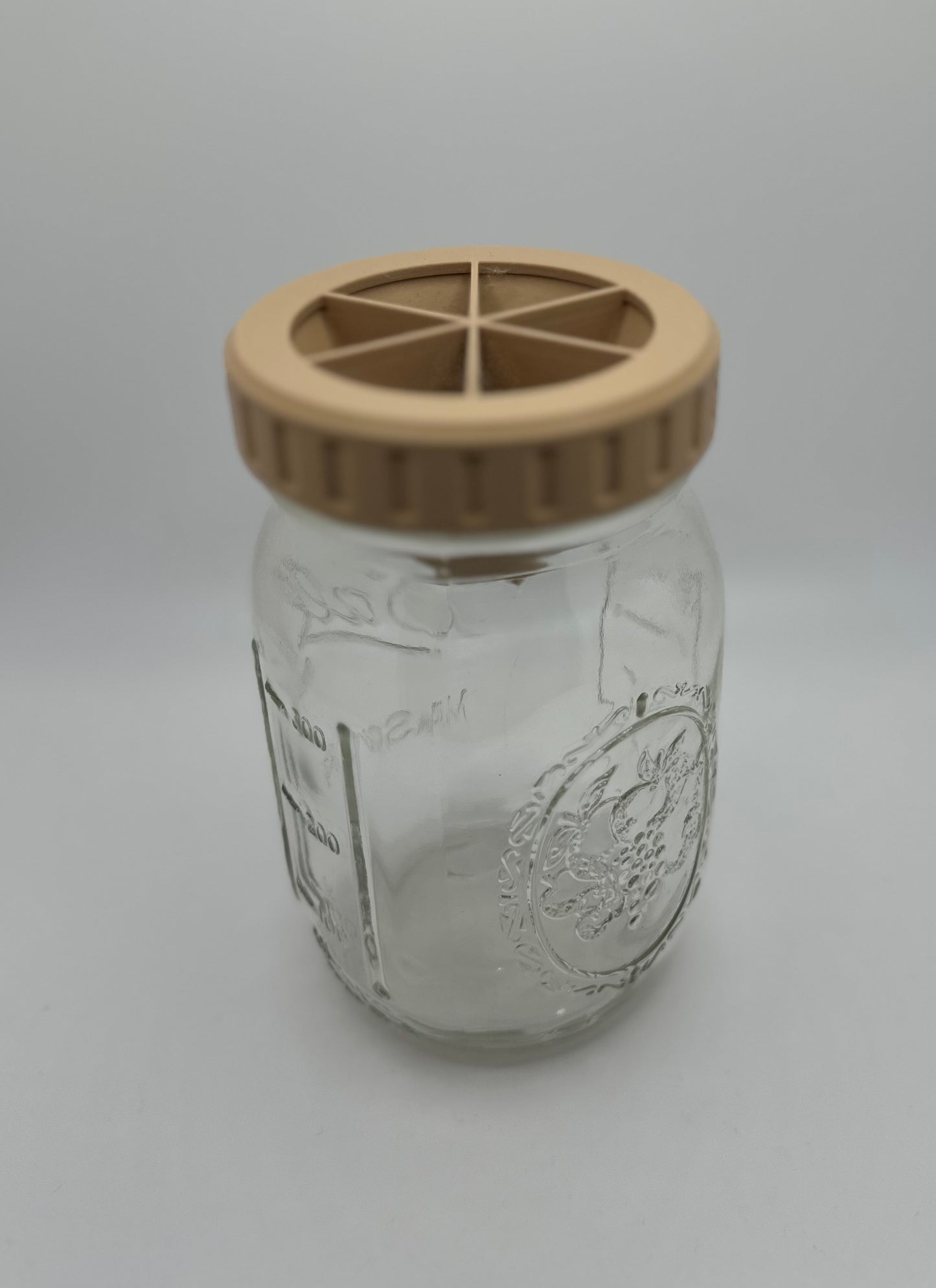 Mason Jar Fly Trap Lid (2 Pack)